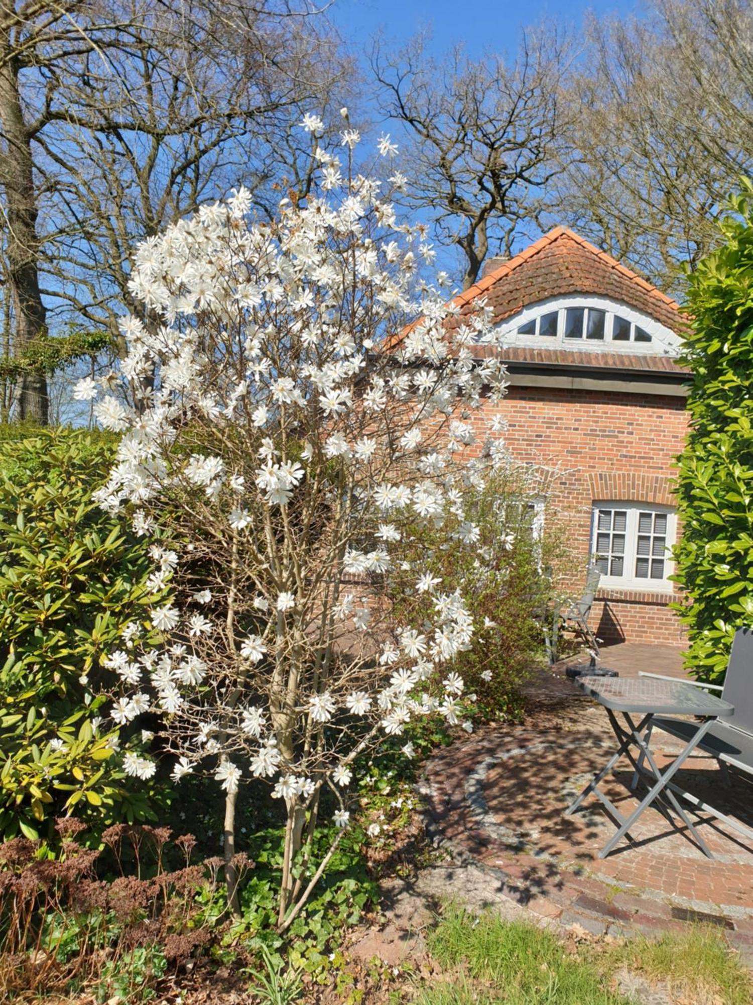 Ferienwohnung Kaminzimmer Westerstede Luaran gambar